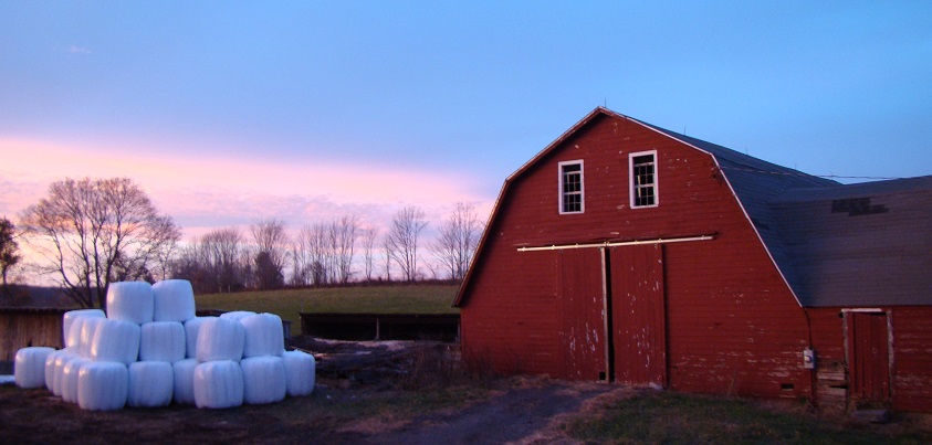 Clemence Hill Farm