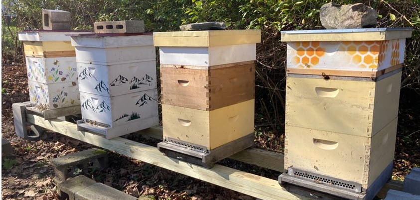 Clemence Hill Farm apiary